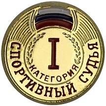 Купить Значок ZS